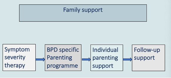 <p><span style="background-color: transparent;">Don't often get all of it, not looked at it as a holistic thing</span></p><ul><li><p><span style="background-color: transparent;">Initially - have DBT or MBT, helps you manage your symptoms. When can manage symptoms effectively, allows you to engage with other therapies&nbsp;</span></p></li><li><p><span style="background-color: transparent;">2 - aware of the things, scaffold and guide through</span></p></li><li><p><span style="background-color: transparent;">3 - then have individual parenting support. Record playing with the child and play it back to them. What could they have done differently.&nbsp;</span></p></li><li><p><span style="background-color: transparent;">4 - how to continue support, as go through life stages way you need to parent adapts - how to do this</span></p></li><li><p><span style="background-color: transparent;">Whilst this is happening have family support so the people around them know what they’re dealing with/going through</span></p></li></ul><p></p>