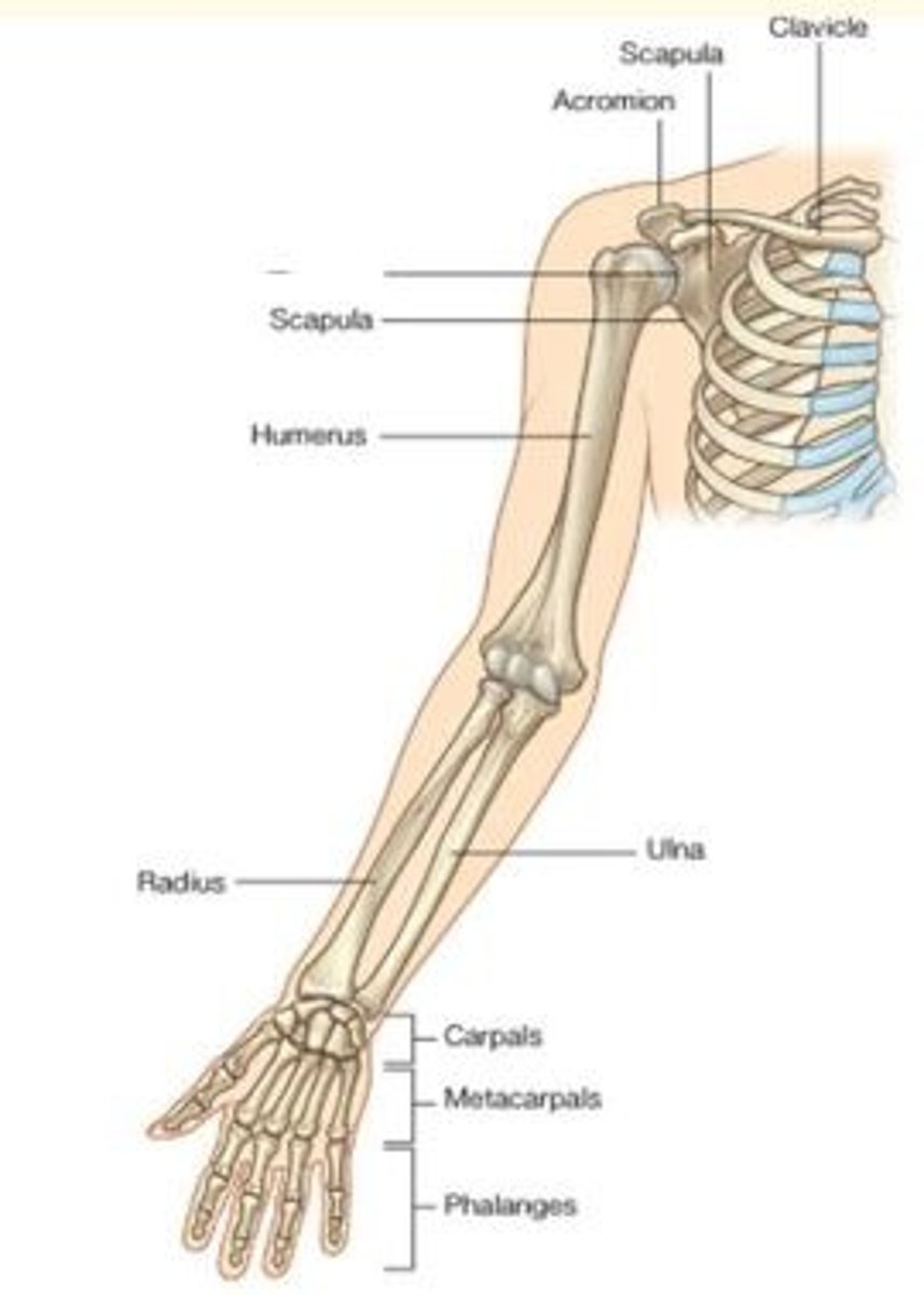 <p>What is highlighted here?</p>