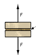 <p>What type of stress is this</p>