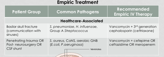 <p>vanco + 3rd gen cephalosporin (ceftriaxone)</p>