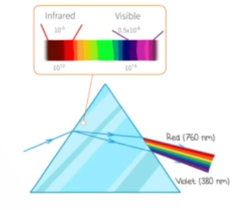 <p>light rays passing through a glass prism are broken up into their component wavelengths</p>