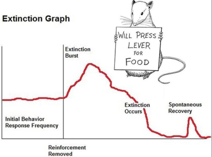 <p>Extinction (in operant conditioning)</p>