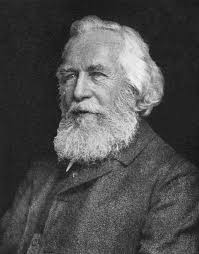 A German zoologist who first described and coined "ecology" as a separate field of knowledge in 1866.