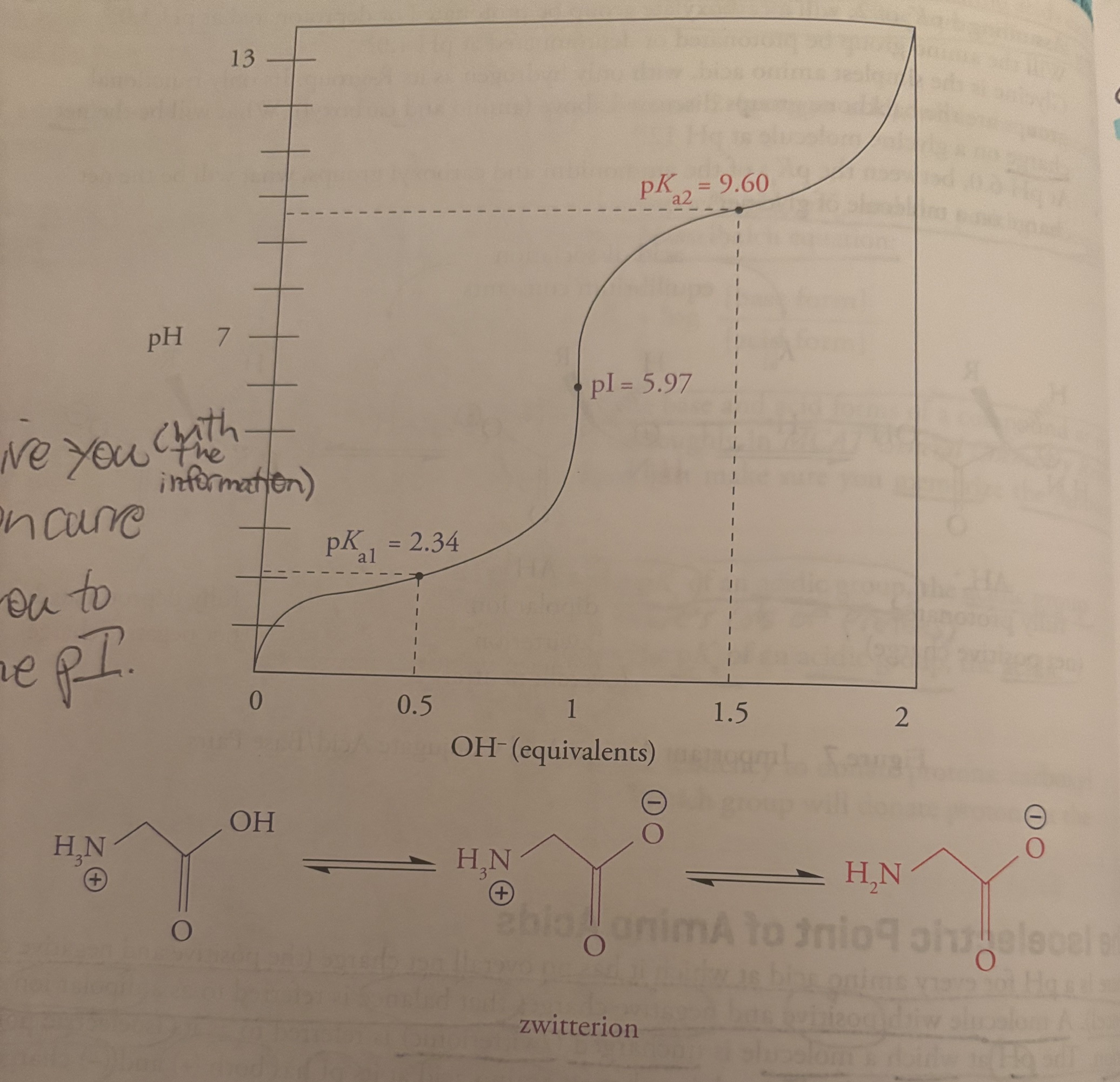<p><u>The Isoelectric Point of Amino Acids (cont)</u></p><p>-For a molecule with two functional groups, such as glycine, <em>average the pKas of the two functional groups</em>. </p><p><u>Titration Curves</u></p><p>-picture attached</p><p>-titration curves compare the pH of a solution to the pKa of a functional group on the amino acid. You need to be able to determine if a site is mostly protonated or deprotonated. </p><p>-if the pH<pKa, the site is protonated</p><p>-if the pH>pKa, the site is deprotonated. </p><ol><li><p>The MCAT may give you a titration curve</p></li><li><p>Then ask you to calculate the pI. </p></li></ol><p></p>