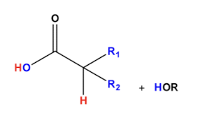 <p>di-alpha alkylated carboxylic acid</p>