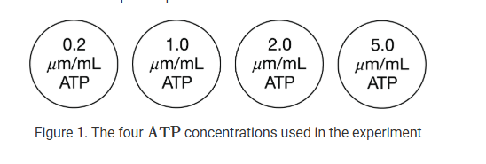 <p>The transport of a substance across a plasma membrane of a specific organelle requires energy. The rate at which the transport takes place also depends on temperature. A scientist isolated the specific organelle and then used the following treatments to determine the conditions that will result in the maximal transport. All treatments contained the extracted organelle and were maintained at 25 degrees C.</p><p class="passage_para">The data from this experiment indicate that maximal rate of transport of protein X at occurs at an ATP concentration of 1.0 μm/mL</p><p class="passage_para">Which procedure should be done next to gather data needed to meet the scientist’s objective?</p><p><strong>A) </strong>Incubate samples with the same four ATP concentrations at 30 degrees C.</p><p><strong>B) </strong>Incubate samples containing of 5.0 μm/mL of ATP at four temperatures other than 25 degrees C.</p><p><strong>C) </strong>Incubate samples containing 1.0 μm/mL of ATP at four temperatures other than 25 degrees C.</p><p><strong>D) </strong>Incubate samples containing 1.0 μm/mL of ATP at 25 degrees C and determine the rate of transport for four other proteins.</p>