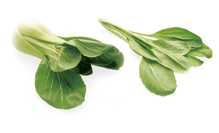<p>Pak choi / Mostarda-chinesa</p>
