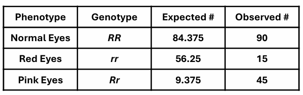 <p>Why might this population not be in HW equilibrium? </p>
