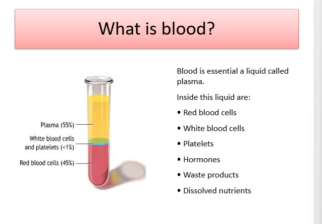 <p>Contains plasma, there are rbc, wbc platelets, hormones, waste products and ddissolved nutrients in them</p>