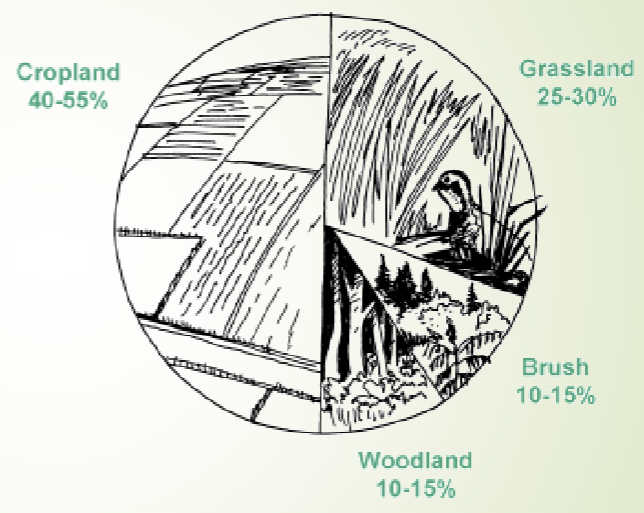 <p>(Just Study Chart)</p>