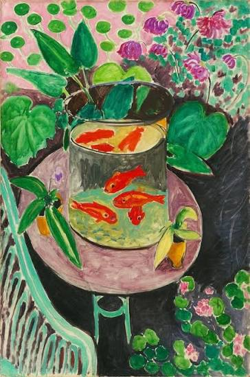 <p>Goldfish Medium</p>