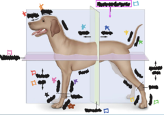 <p>What is the green square?</p>