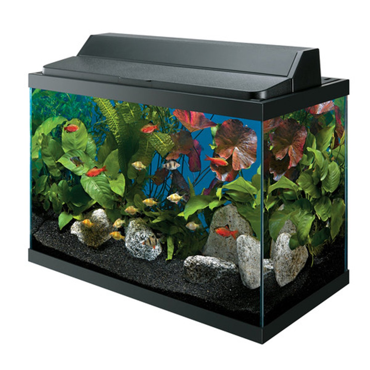 <p>TRANSLATION: требует покупки аквариума</p><p>DEFINITION: needs the purchase of a glass container for water animals</p><p>EXAMPLE: Keeping a pet fish ........................ with a filter and heater. Содержание домашней рыбки ТРЕБУЕТ ПОКУПКИ АКВАРИУМА с фильтром и обогревателем.</p>