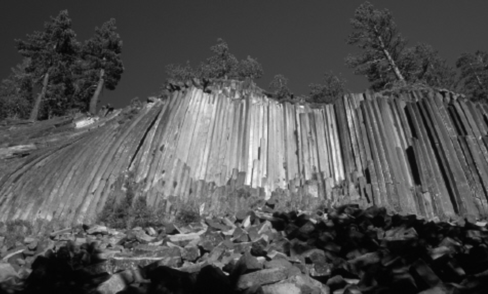 <p><span>The vertical features preserved in the basalt flow in the image formed because the lava ________.</span></p>