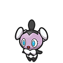 <p>Mollimorba</p>