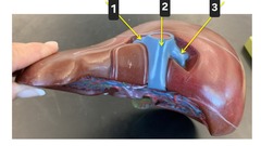 <p>2</p>