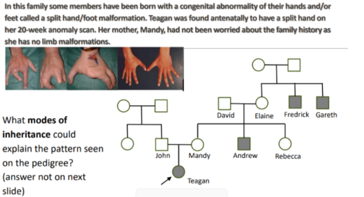 <p>What are the assumptions and mode of inheritance?</p>
