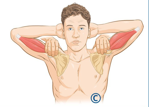 <p><strong>biceps tendon subluxation</strong></p><p>have patent sitting or standing - stand behind them</p><p>have them put both hands on head interlocking fingers to support weight of arms</p><p>place two fingers on the front of the long heads of the biceps tendon</p><p>ask them to contract and relax both biceps at the same time</p><p>positive if: contraction is not felt on the injured side</p>