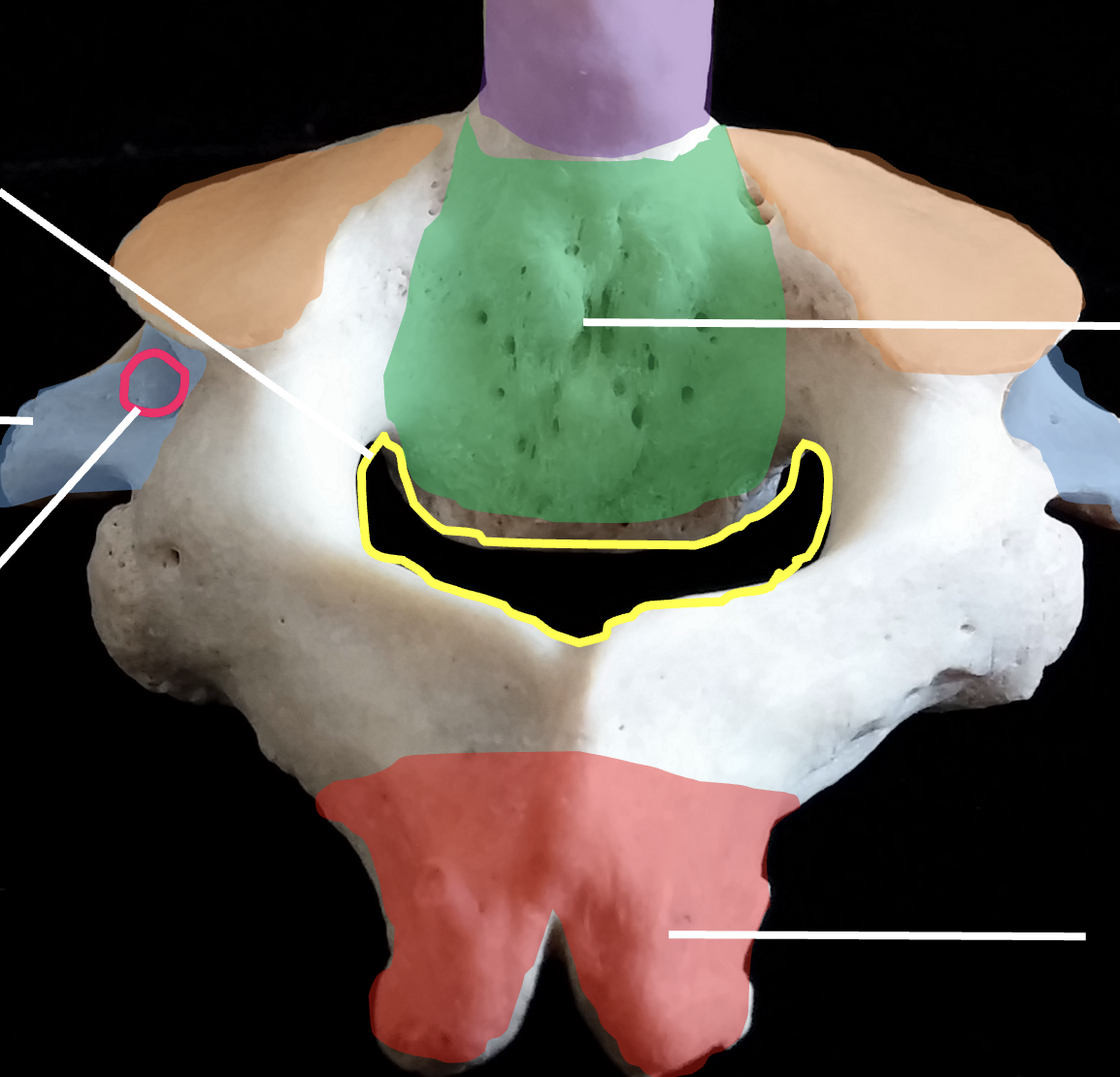 <p>What is the orange region highlighted on the C2, axis?</p>