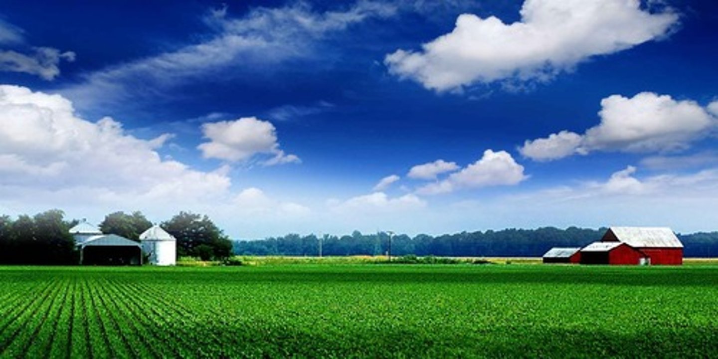<p>field, farm</p>