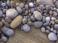 <p><span>a </span>small<span> </span>smooth<span> round </span>stone<span>, </span>especially<span> one </span>found<span> on a </span>beach<span> or in a </span>river</p>
