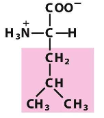 <p>What structure is this? And what group does it fall under?</p>