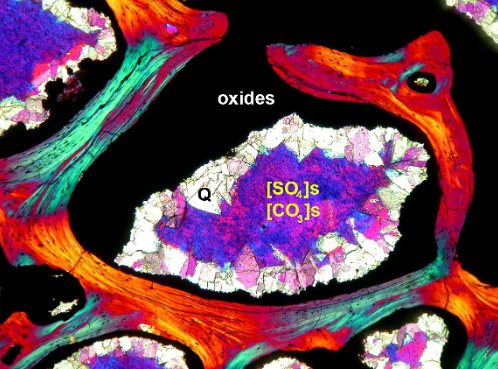 <p>What kind of fossilization is this?</p>