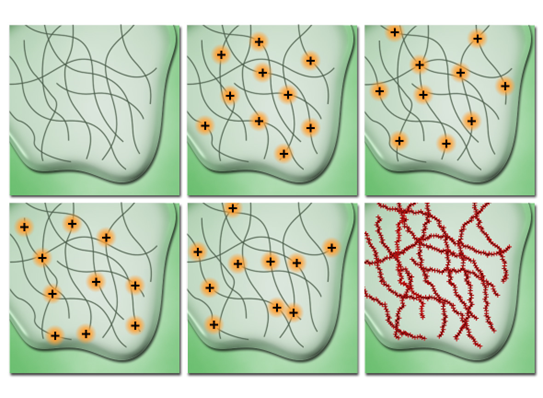 <ol><li><p><strong>photo switchable fluorophores </strong>are used → their fluorescence can be controlled to emit a sufficient fraction of light for only a <strong>limited amount of time </strong>before <strong>bleaching to a dark state</strong></p></li><li><p>fluorophores are excited using a laser and are trapped in a <strong>dark triplet state </strong>by a chemical buffer</p></li><li><p>a weak activation laser then illuminates the sample → only provides enough energy for a <strong>random percentage of molecules to exit dark state to glowing state </strong></p></li><li><p>produces a stochastic rate of random fluorophores blinking </p></li><li><p>several images are taken over time → since only a few molecules are visible in each frame → system treats them as a single point  → increases resolution (<strong>20nm</strong>)</p></li></ol><p></p>