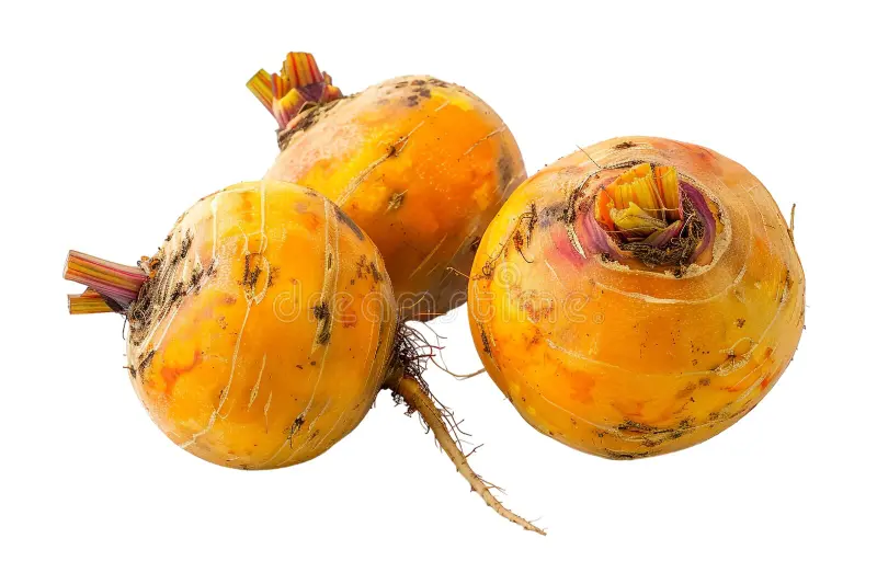 <p>Golden Beets</p>