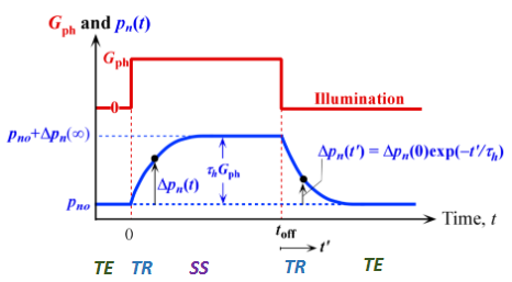 <ol><li><p>Thermal Eq: carriers and lattices are interacted with one another ONLY through thermal excitation for long enough time, homogenous fermi level.</p></li><li><p>Transient: excess carriers are generated (for example, under illumination), and evolve with time.</p></li><li><p>Steady State: the external excitation is applied for long enough time until the excess carriers no longer change with time. It is still a non-equilibrium state, and the Fermi energy is not constant throughout the system.</p></li></ol><p></p>