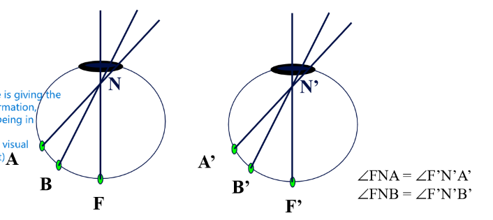<p>pairs of points on the left and right retina that have the same angular distance from the fovea (one temporal one nasal). In this case, we see the image as being in the same place.</p><p></p><ul><li><p>they signal the same <strong>oculocentric direction </strong>in each eye</p></li></ul><p></p>