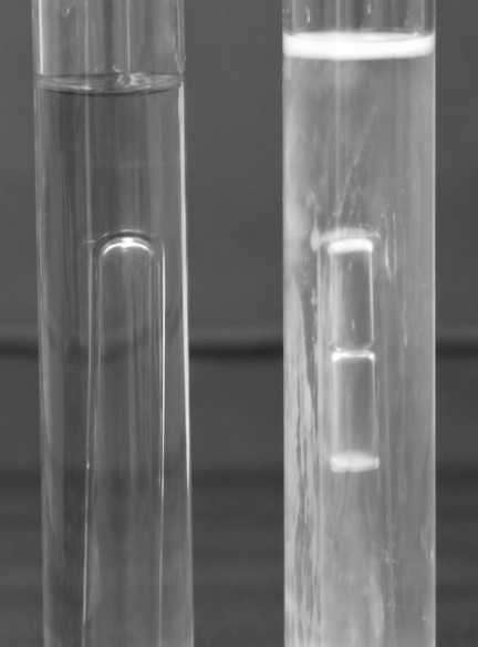 <p>Interpret the result of a <strong>Lauryl trypose broth (LTB)</strong> shown in the image.</p>