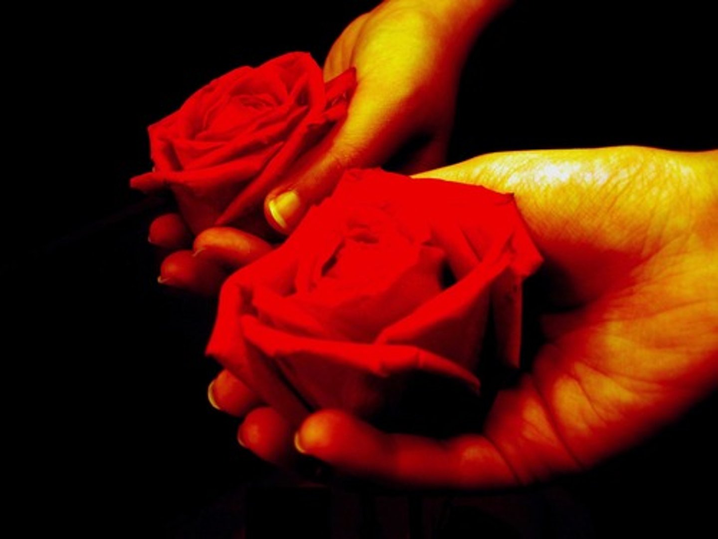 <p>to give</p>