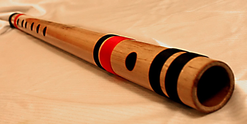 <p>What instrument is this?</p>