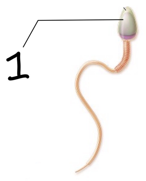 <p>1</p>