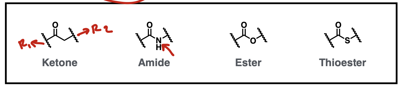 <p>ketone, amide, ester, thioester</p>