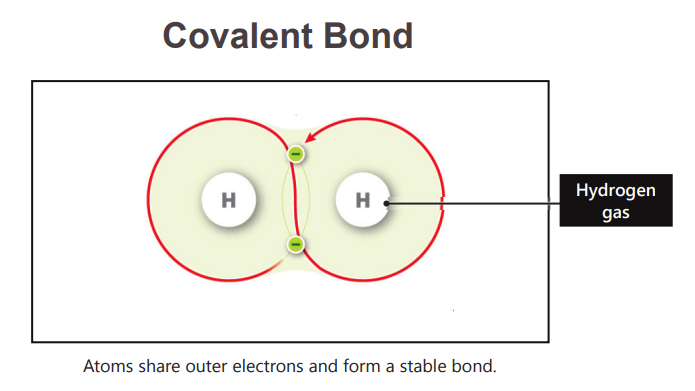 <p>What is the strongest chemical bond?</p>