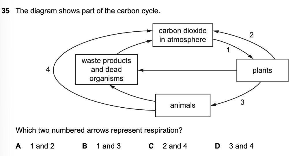 <p>Which two numbered arrows represent respiration?</p>