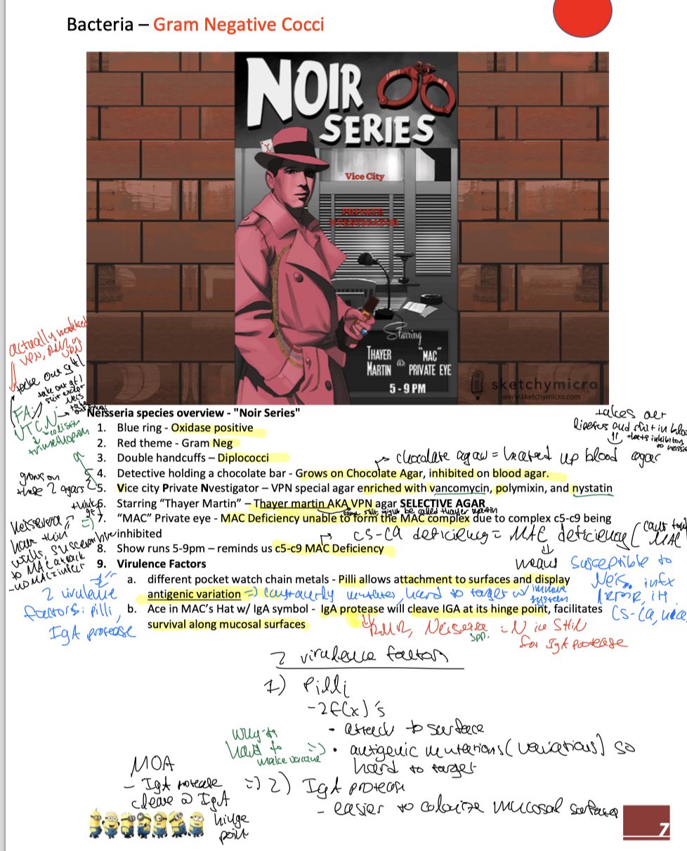 knowt flashcard image