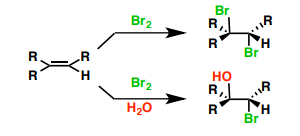 <p>Name the reaction and what is the end product? </p>