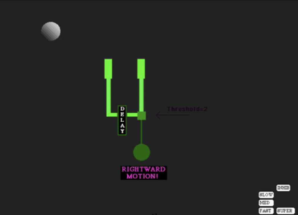 <p> </p><ul><li><p><span>Sensitive to rightward, will not respond to leftward motion</span></p></li><li><p><span>If want to built another circuit this time sensitive to leftward motion, change which side delay on.</span></p></li></ul><p> </p><ul><li><p><span>The direction the circuit is sensitive to depends on which side has the delay.</span></p></li></ul><p></p>
