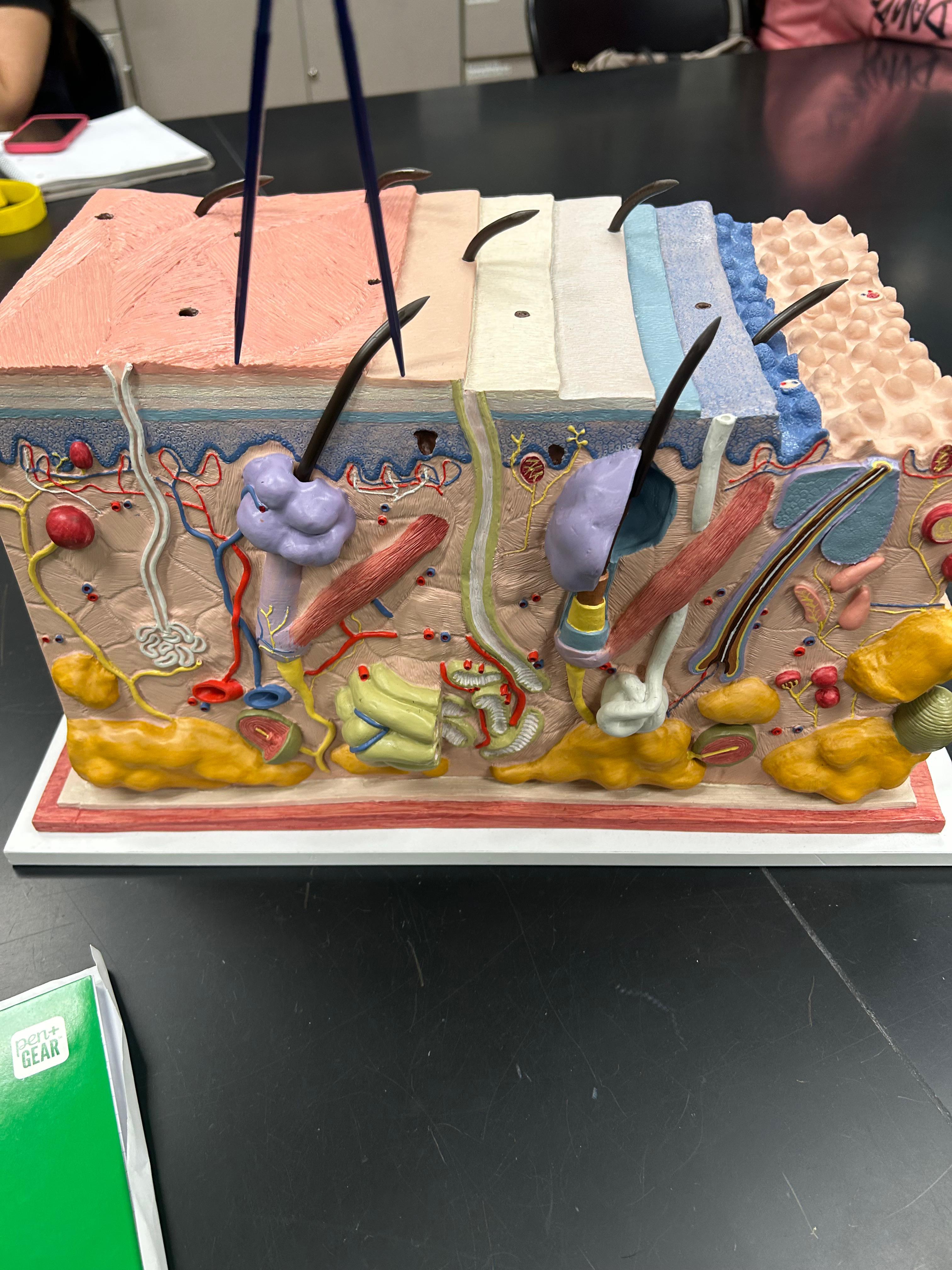 <p>Identify Layer</p>