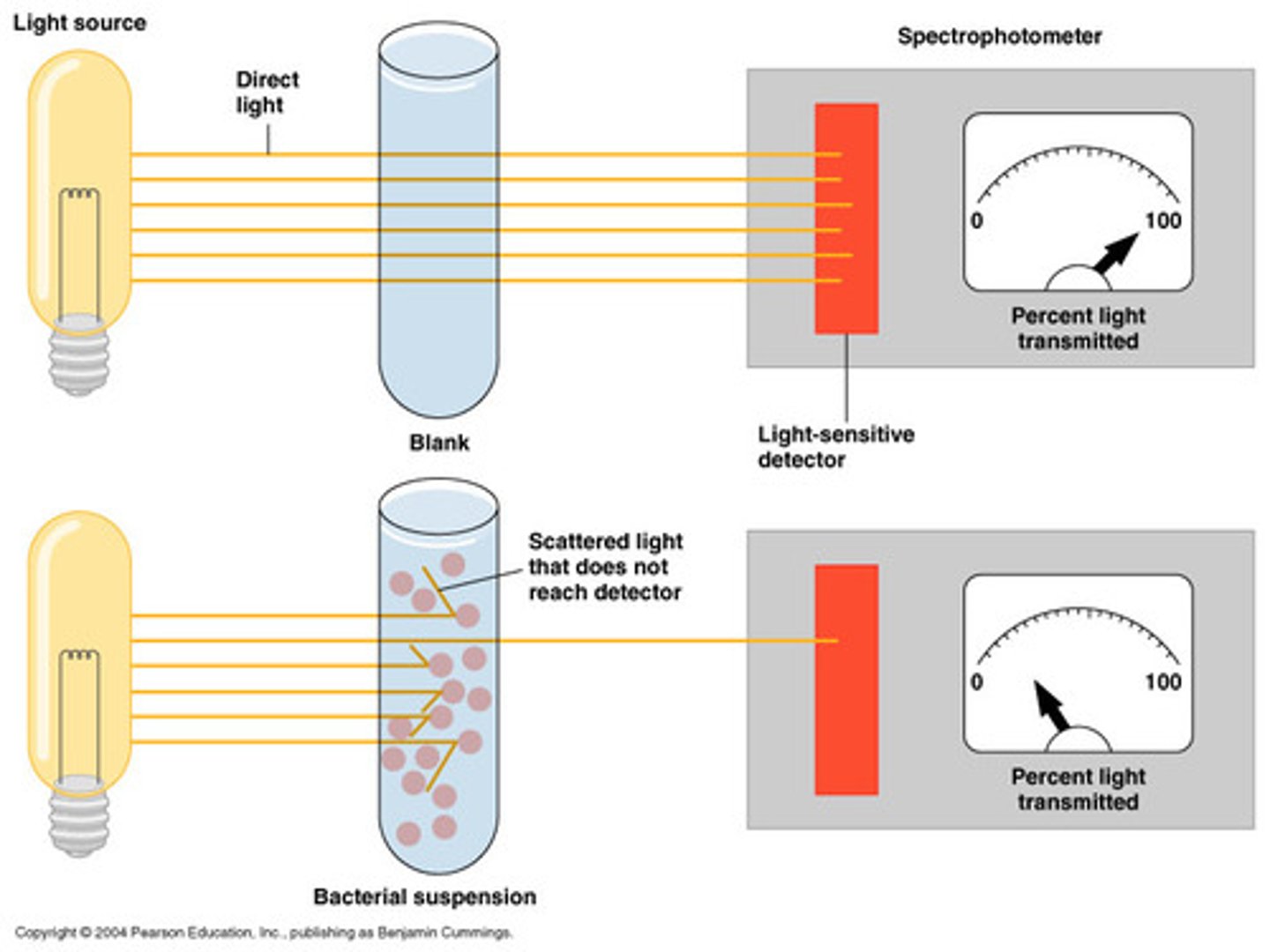 <p>A measure of how clear water is.</p>