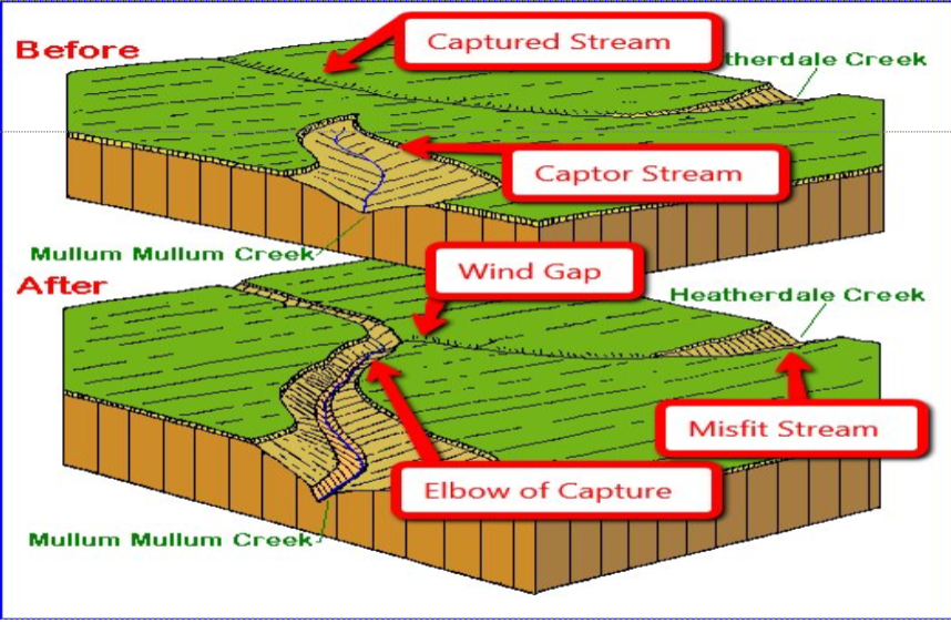 <p>The part of the captured river that has LOST its headwaters through piracy. It becomes a small, weak stream flowing in a valley that is now too large for it. Eventually dries up.</p>