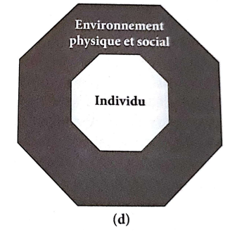 <p>Situation d’<strong>adéquation</strong> entre l’individu et l’environnement suite à une intervention environnementale</p>