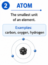 <p>The smallest unit of an element.<br>Example: Carbon, oxygen, and hydrogen are atoms found in the body.</p>