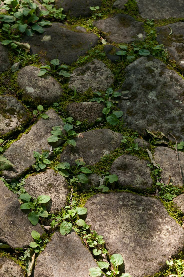 <p>Ground</p>