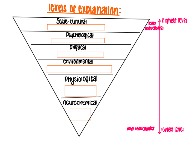 <p>fill in the gaps for examples of the levels of explanation </p>