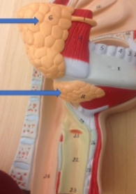 <p>name the parts</p>