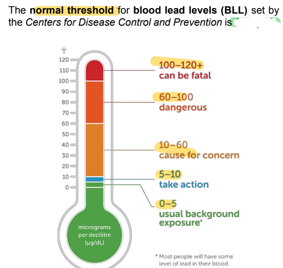 <p><strong><u>Metals &amp; Metalloids: Lead</u></strong></p>
